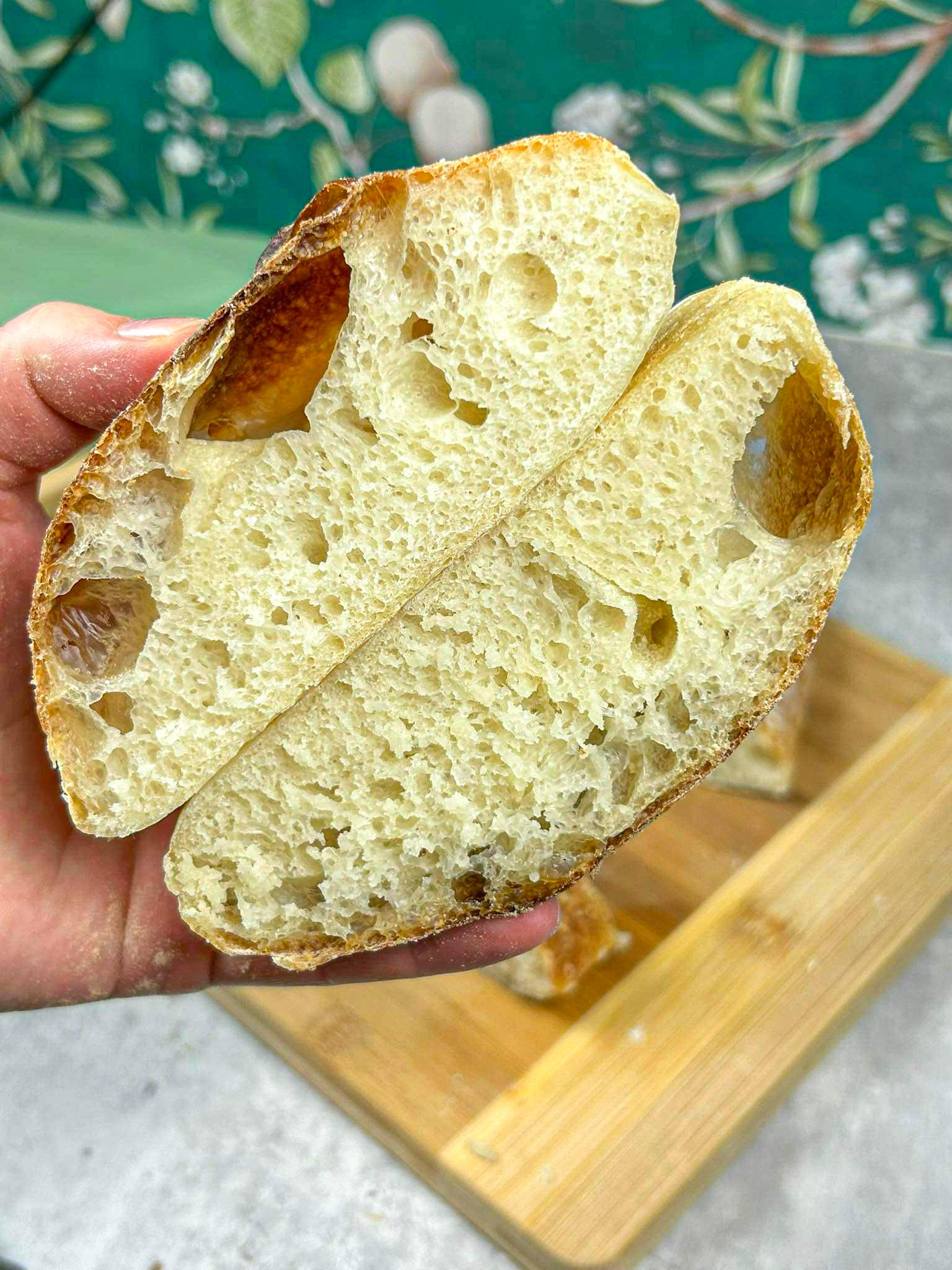 Paine Ciabatta reteta originala.