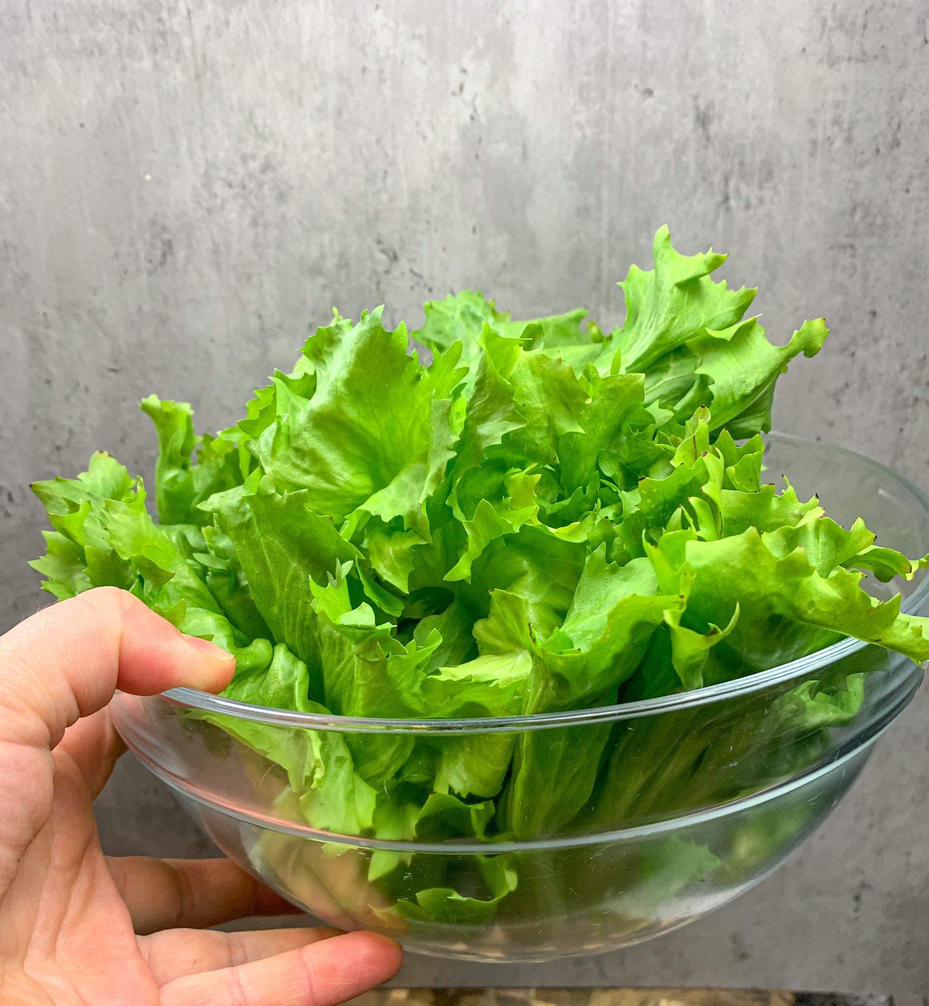 Ciorba de salata verde  cu omleta ca in Ardeal.